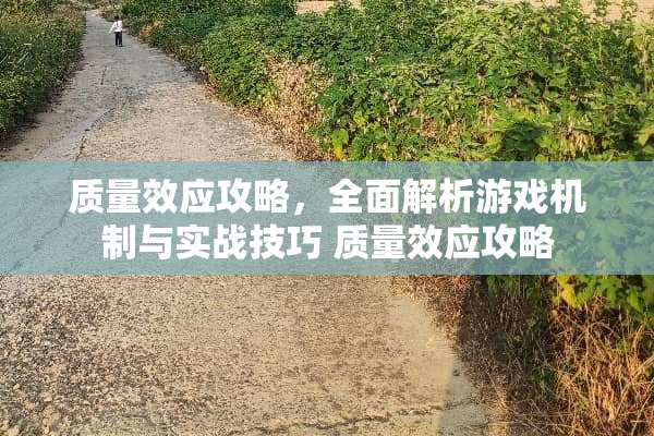 质量效应攻略，全面解析游戏机制与实战技巧 质量效应攻略