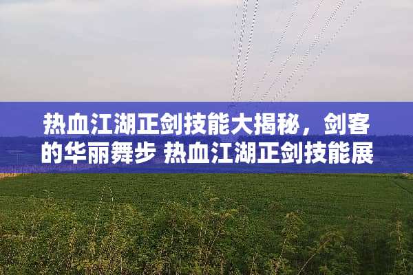 热血江湖正剑技能大揭秘，剑客的华丽舞步 热血江湖正剑技能展示