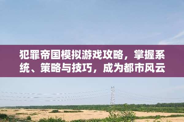 犯罪帝国模拟游戏攻略，掌握系统、策略与技巧，成为都市风云人物 犯罪帝国模拟游戏攻略