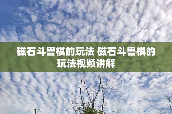 磁石斗兽棋的玩法 磁石斗兽棋的玩法视频讲解