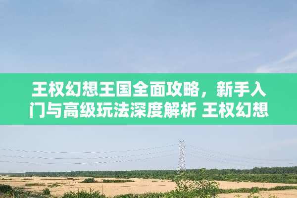 王权幻想王国全面攻略，新手入门与高级玩法深度解析 王权幻想王国攻略