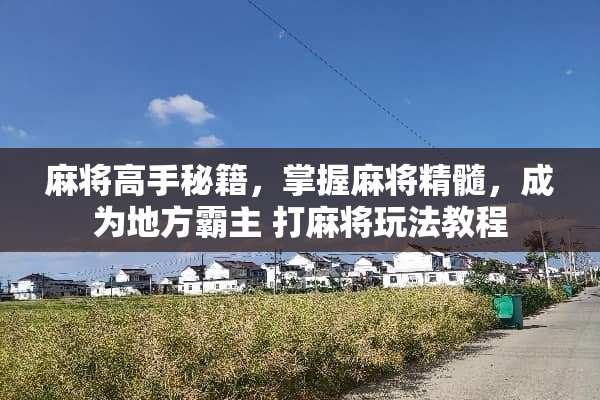 **高手秘籍，掌握**精髓，成为地方霸主 打**玩法教程
