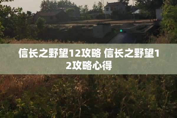 信长之野望12攻略 信长之野望12攻略心得