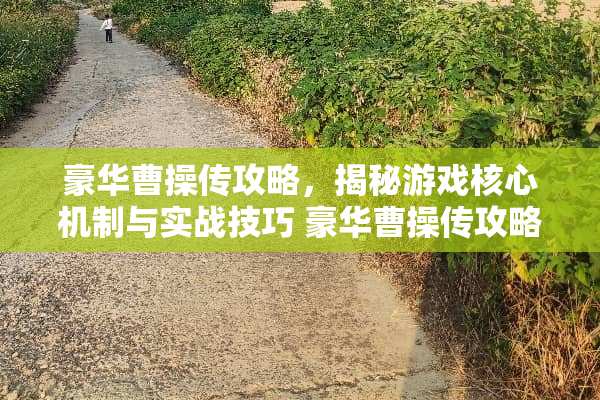 豪华曹操传攻略，揭秘游戏核心机制与实战技巧 豪华曹操传攻略游戏