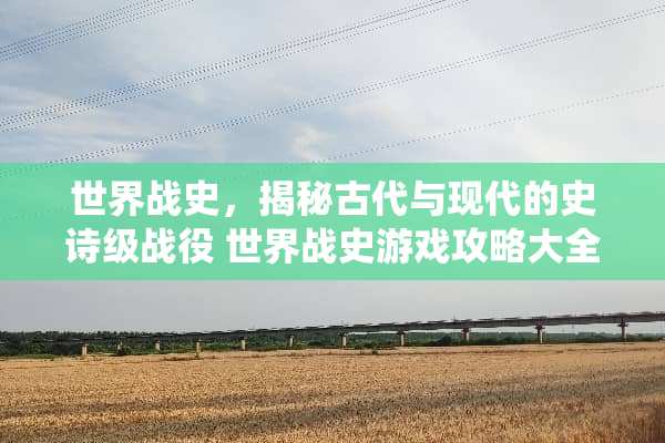 世界战史，揭秘古代与现代的史诗级战役 世界战史游戏攻略大全