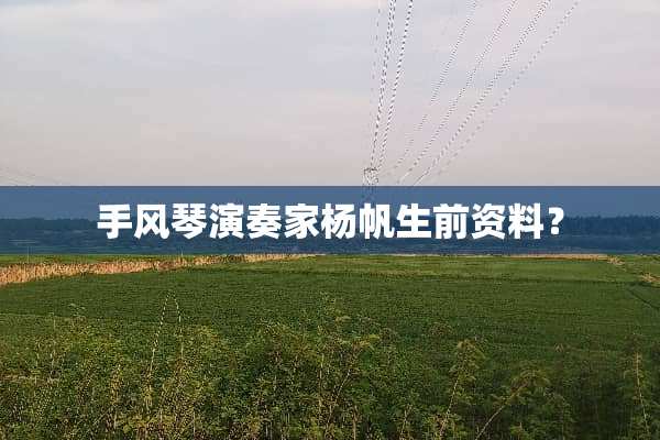 手风琴演奏家杨帆生前资料？