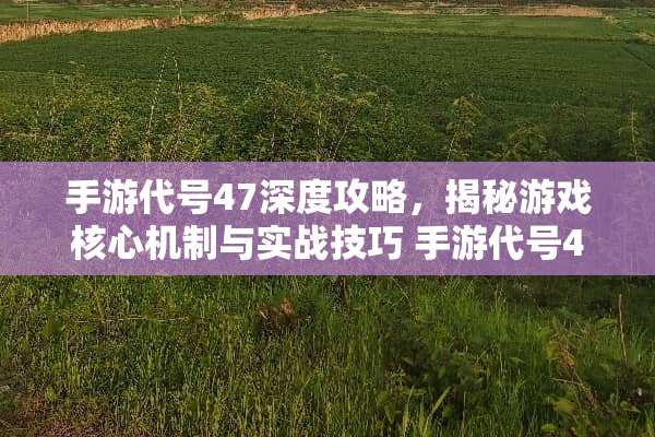手游代号47深度攻略，揭秘游戏核心机制与实战技巧 手游代号47游戏攻略