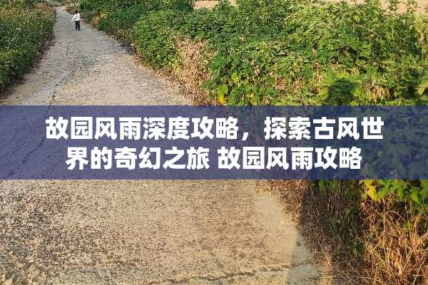 故园风雨深度攻略，探索古风世界的奇幻之旅 故园风雨攻略