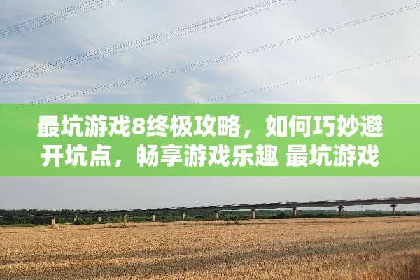 最坑游戏8终极攻略，如何巧妙避开坑点，畅享游戏乐趣 最坑游戏8游戏攻略