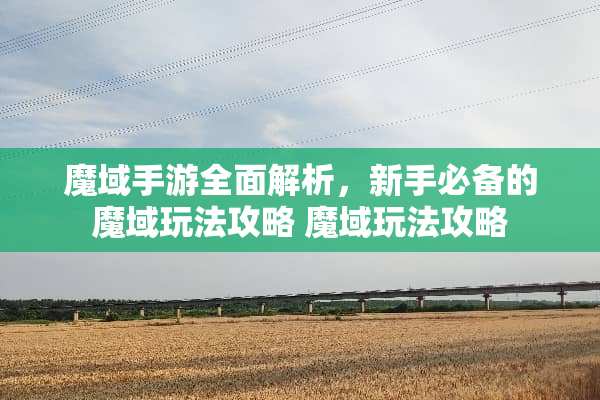 魔域手游全面解析，新手必备的魔域玩法攻略 魔域玩法攻略
