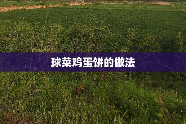 球菜鸡蛋饼的做法