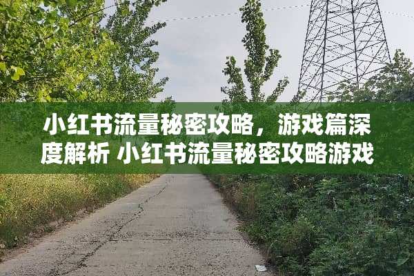 小红书流量秘密攻略，游戏篇深度解析 小红书流量秘密攻略游戏