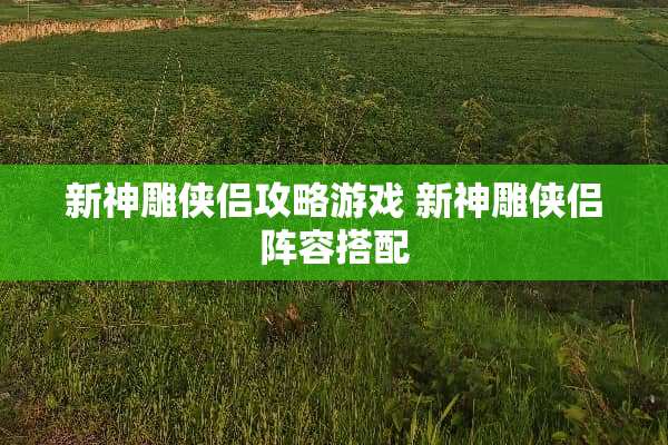 新神雕侠侣攻略游戏 新神雕侠侣阵容搭配