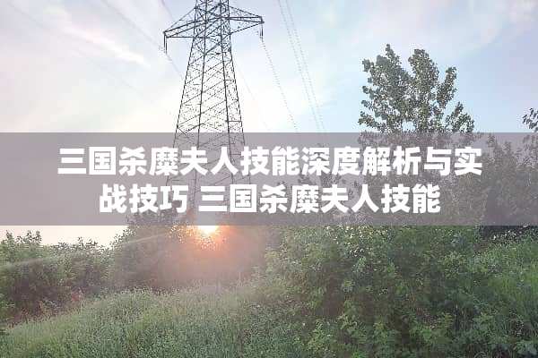 三国杀糜夫人技能深度解析与实战技巧 三国杀糜夫人技能
