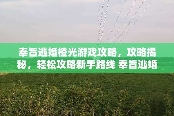 奉旨**橙光游戏攻略，攻略揭秘，轻松攻略新手路线 奉旨**橙光游戏攻略