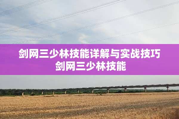 剑网三少林技能详解与实战技巧 剑网三少林技能