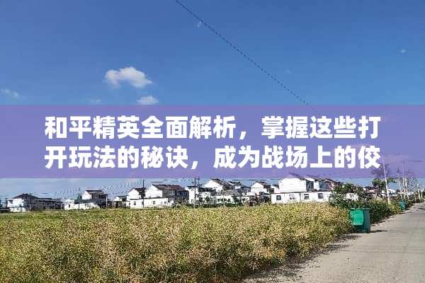 和平精英全面解析，掌握这些打开玩法的秘诀，成为战场上的佼佼者！ 打开玩法和平精英