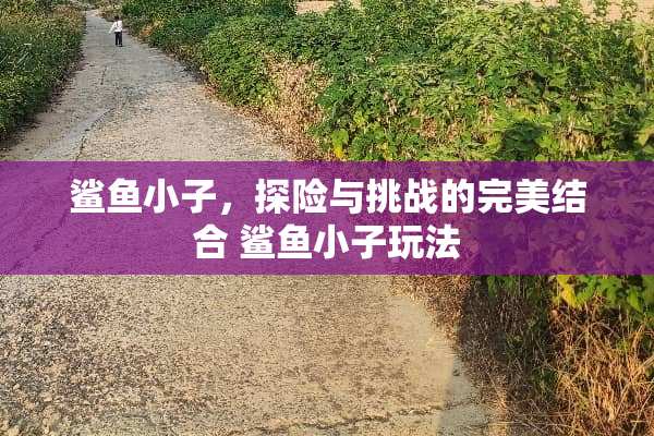 鲨鱼小子，探险与挑战的完美结合 鲨鱼小子玩法