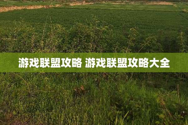 游戏联盟攻略 游戏联盟攻略大全