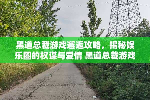 黑道总裁游戏邂逅攻略，揭秘娱乐圈的权谋与爱情 黑道总裁游戏邂逅攻略