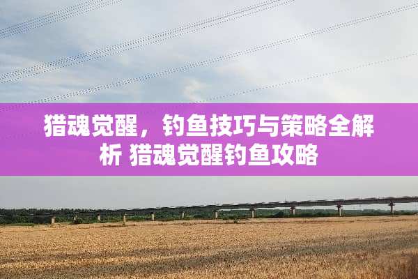 猎魂觉醒，钓鱼技巧与策略全解析 猎魂觉醒钓鱼攻略