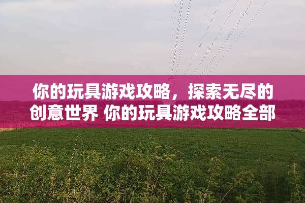 你的玩具游戏攻略，探索无尽的创意世界 你的玩具游戏攻略全部