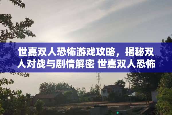世嘉双人恐怖游戏攻略，揭秘双人对战与剧情解密 世嘉双人恐怖游戏攻略