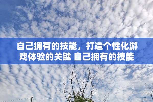 自己拥有的技能，打造个性化游戏体验的关键 自己拥有的技能