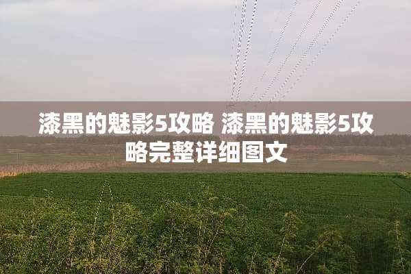 漆黑的魅影5攻略 漆黑的魅影5攻略完整详细图文