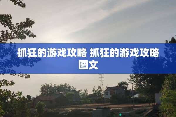 抓狂的游戏攻略 抓狂的游戏攻略图文