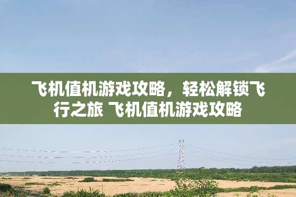 飞机值机游戏攻略，轻松解锁飞行之旅 飞机值机游戏攻略