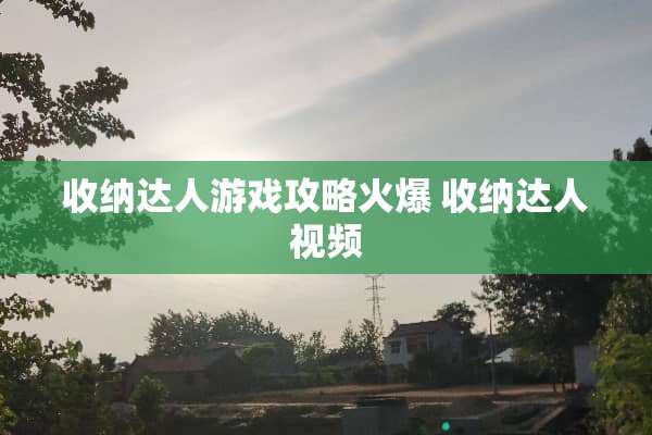 收纳达人游戏攻略火爆 收纳达人视频