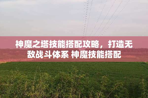 神魔之塔技能搭配攻略，打造无敌战斗体系 神魔技能搭配