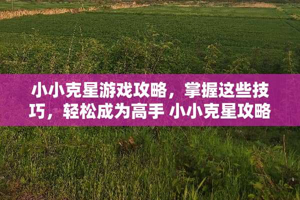小小克星游戏攻略，掌握这些技巧，轻松成为高手 小小克星攻略