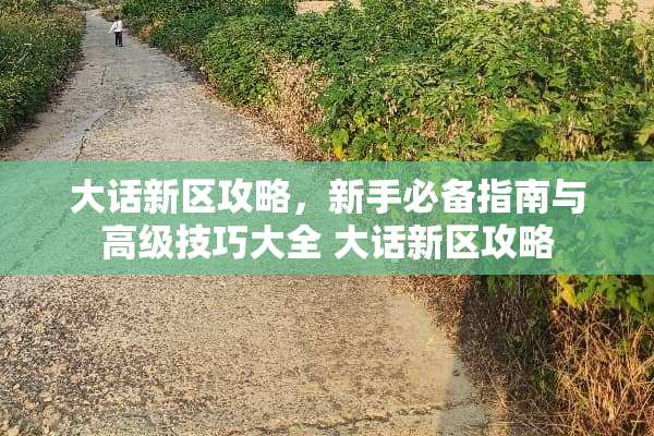 大话新区攻略，新手必备指南与高级技巧大全 大话新区攻略