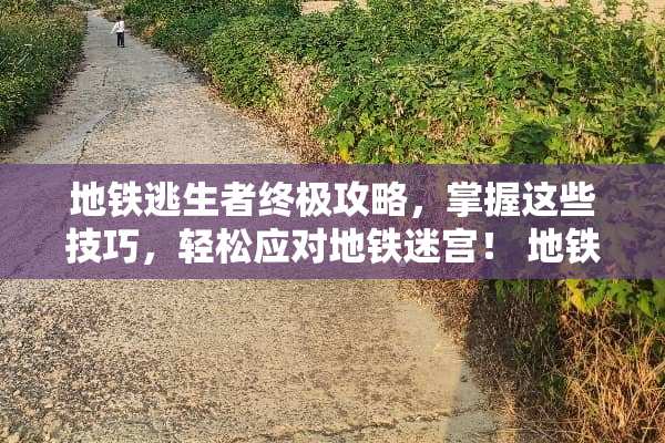 地铁逃生者终极攻略，掌握这些技巧，轻松应对地铁迷宫！ 地铁游戏攻略