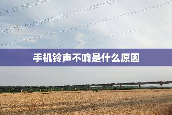 手机铃声不响是什么原因