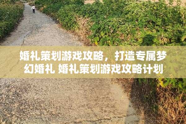 婚礼策划游戏攻略，打造专属梦幻婚礼 婚礼策划游戏攻略计划
