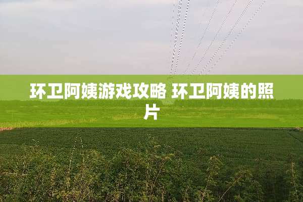 环卫阿姨游戏攻略 环卫阿姨的照片