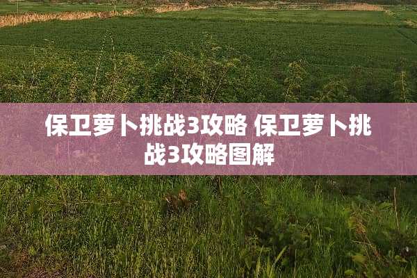 保卫萝卜挑战3攻略 保卫萝卜挑战3攻略图解