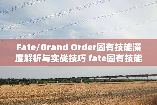 Fate/Grand Order固有技能深度解析与实战技巧 fate固有技能
