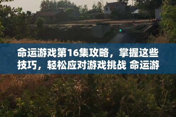 命运游戏第16集攻略，掌握这些技巧，轻松应对游戏挑战 命运游戏第16集攻略
