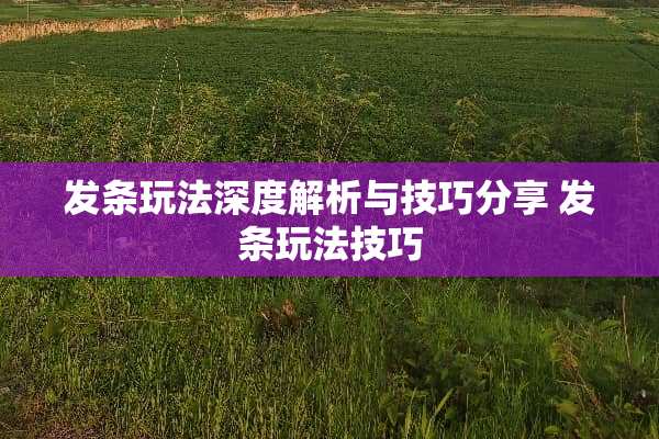发条玩法深度解析与技巧分享 发条玩法技巧