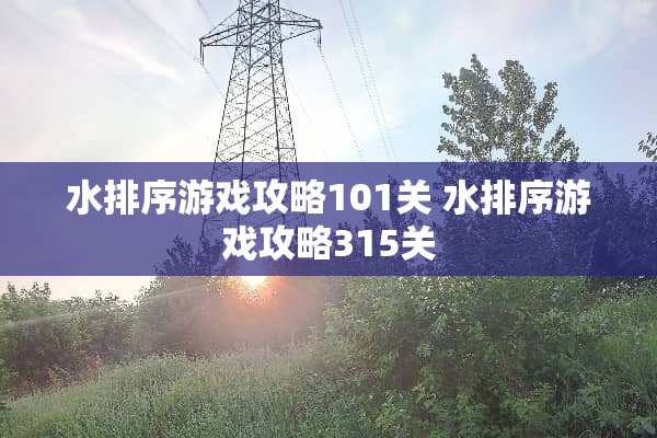 水排序游戏攻略101关 水排序游戏攻略315关