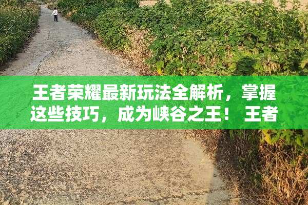 王者荣耀最新玩法全解析，掌握这些技巧，成为峡谷之王！ 王者荣耀最新玩法