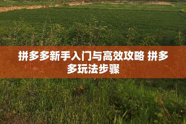 拼多多新手入门与高效攻略 拼多多玩法步骤