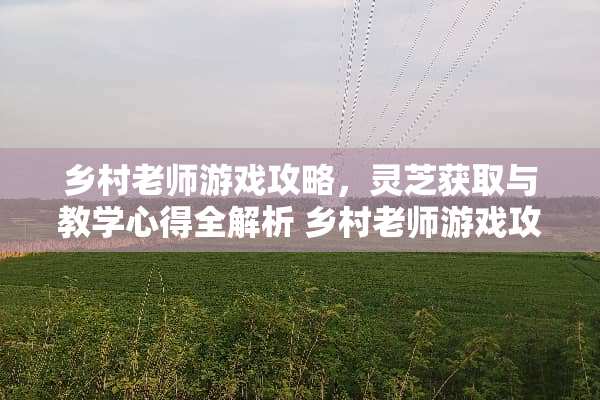 乡村老师游戏攻略，灵芝获取与教学心得全解析 乡村老师游戏攻略灵芝