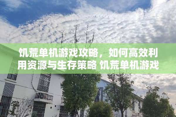 饥荒单机游戏攻略，如何高效利用资源与生存策略 饥荒单机游戏攻略
