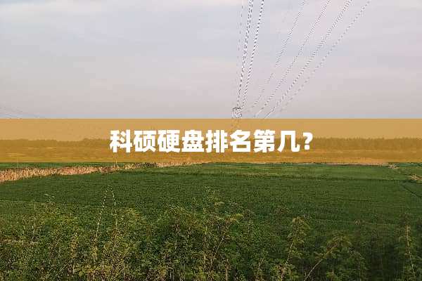 科硕硬盘排名第几？