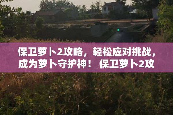 保卫萝卜2攻略，轻松应对挑战，成为萝卜守护神！ 保卫萝卜2攻略35